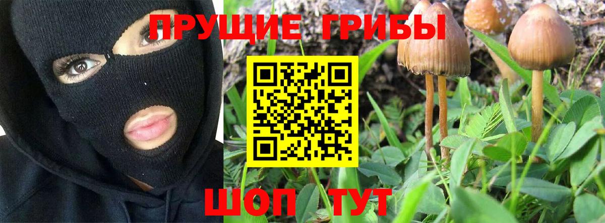 Сургут  Псилоцибиновые грибы MAGIC MUSHROOMS  как найти закладки  Вход с VPN 