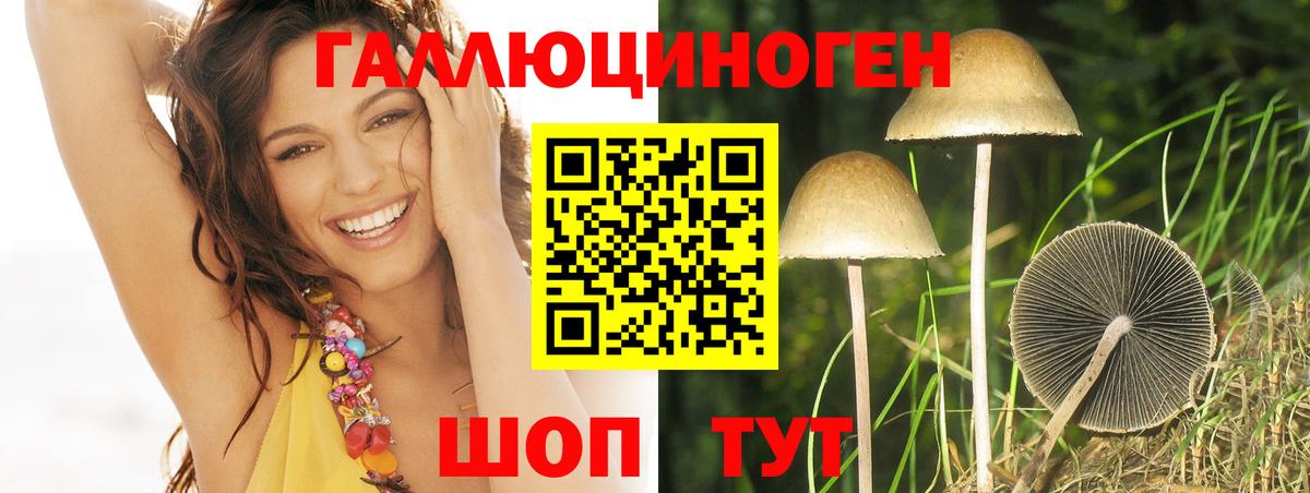 Псилоцибиновые грибы MAGIC MUSHROOMS Сургут